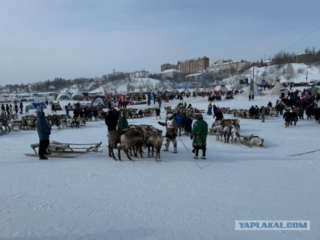 Покажу свой Чум