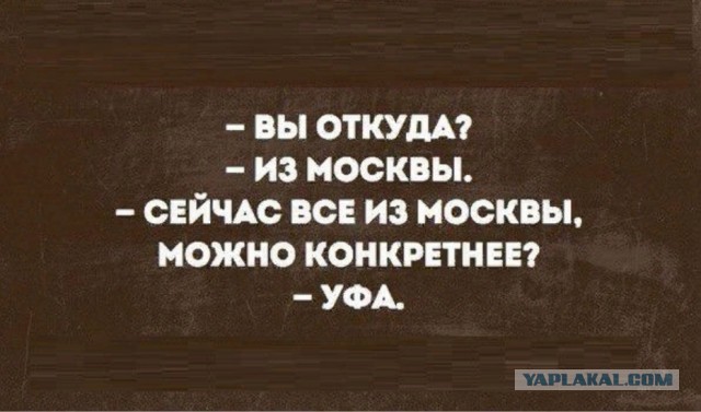 Новые жители нашей многострадальной