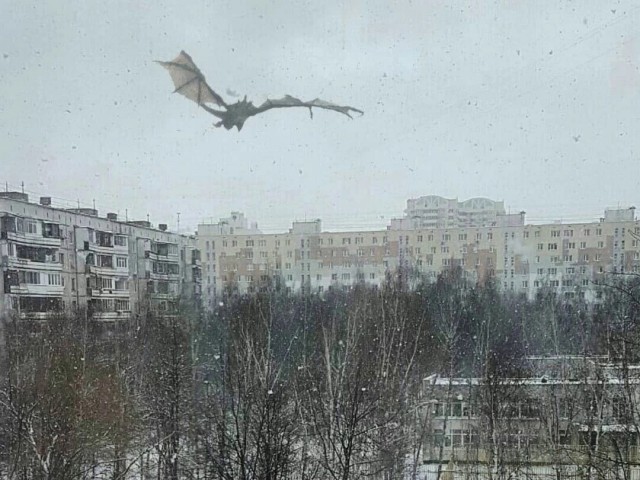 Так себе картинки 23.11.24