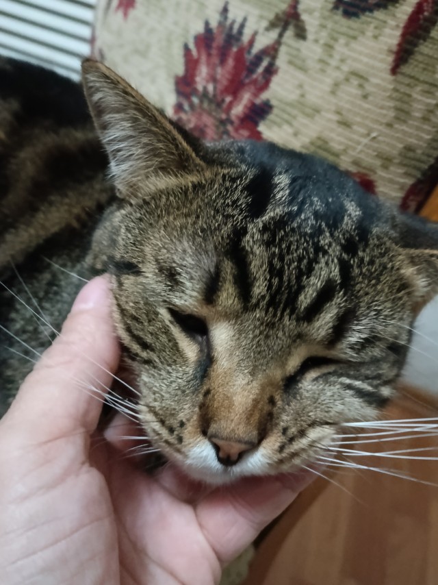 Блин. На меня пацан обиделся!