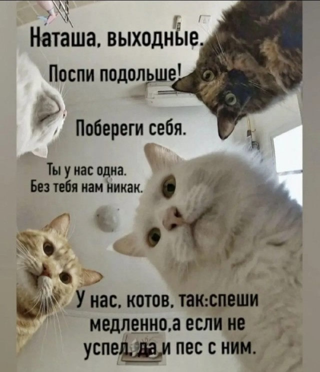 Так себе картинки