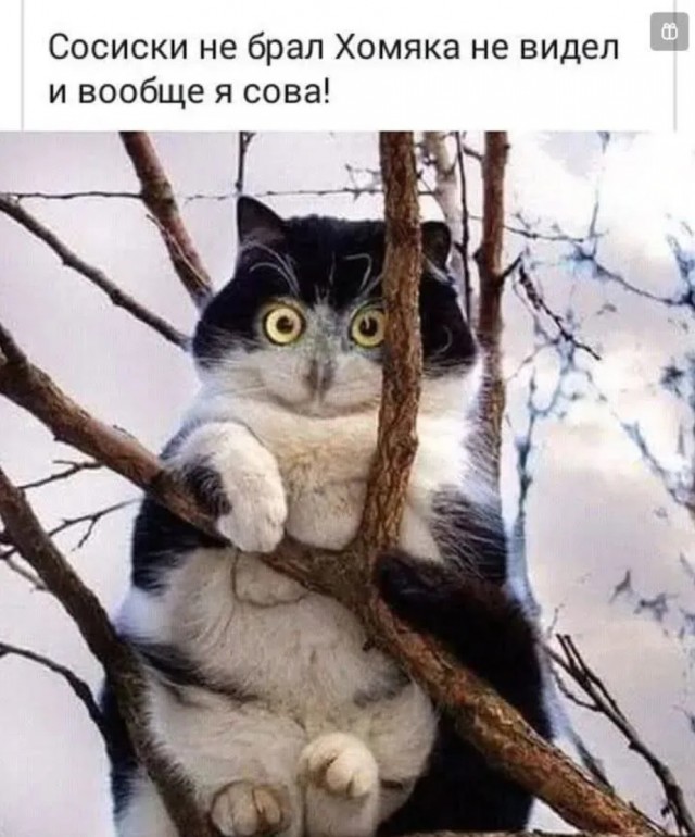 Завалялось тут случайно немного забавных картинок