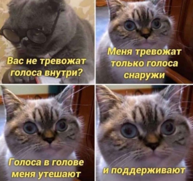 Пять "Пятничных" картинок