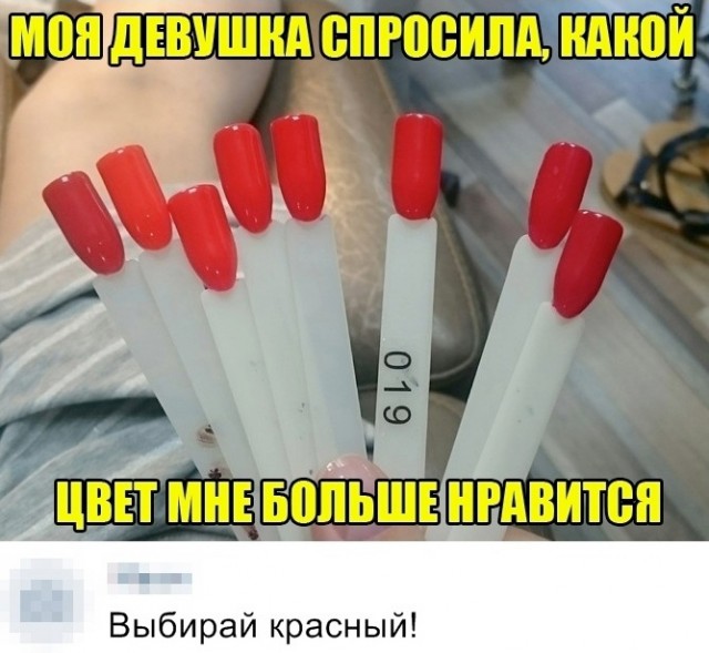 Немного забавных картинок от 13.02.2025