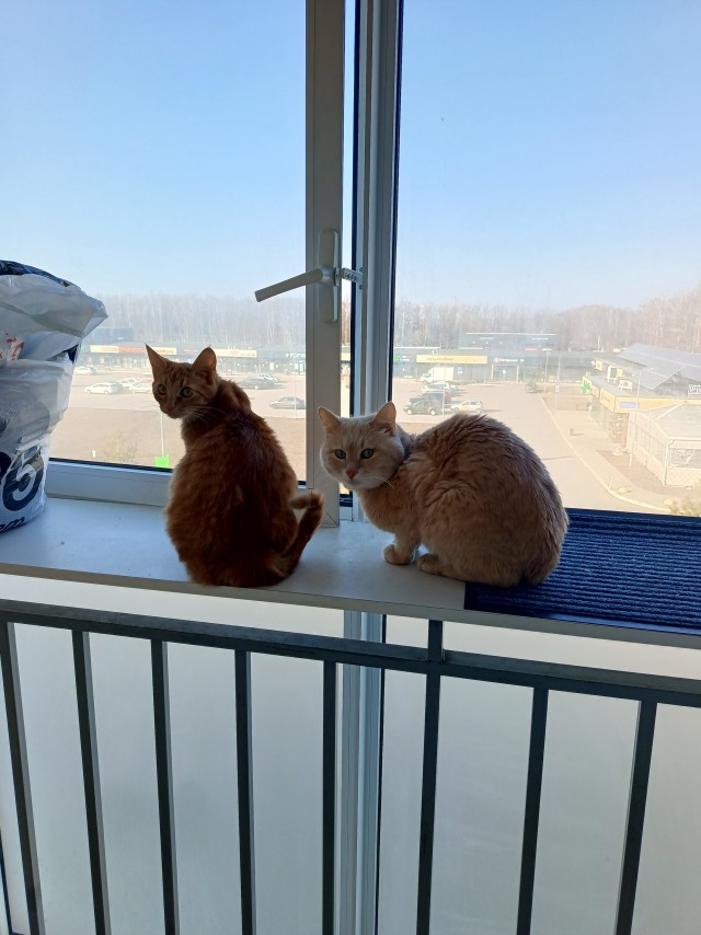 Хоть за него порадуемся