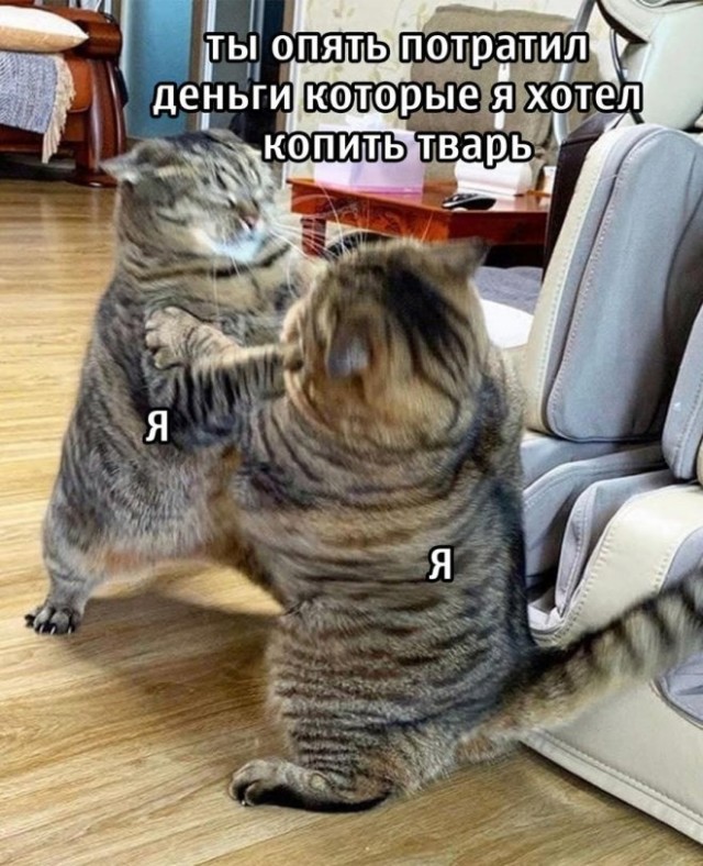 Веселые картинки в пятницу (04.04)
