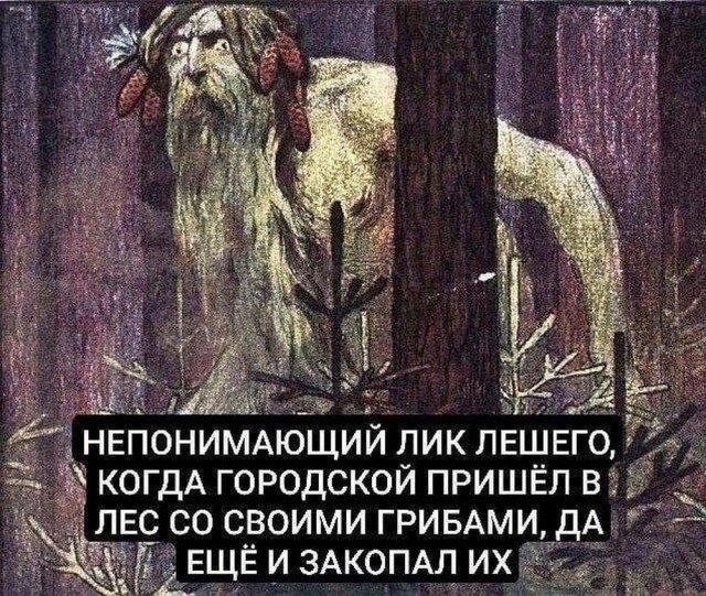 Ещё раз, доброго вечера, падонгГи (уважаемые камрады)!