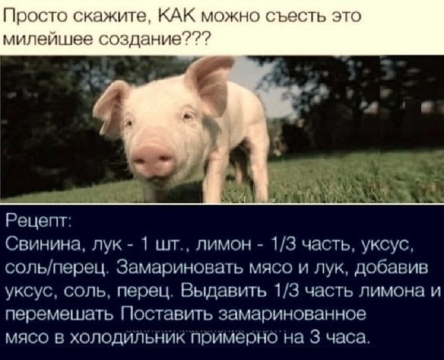 Так себе картинки 22.06.25