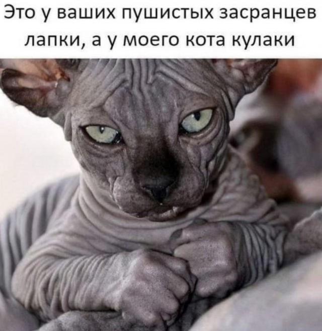 Пятничные бояны