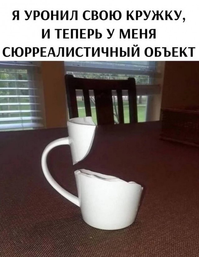Веселое настроение в картинках (19.08.2025)