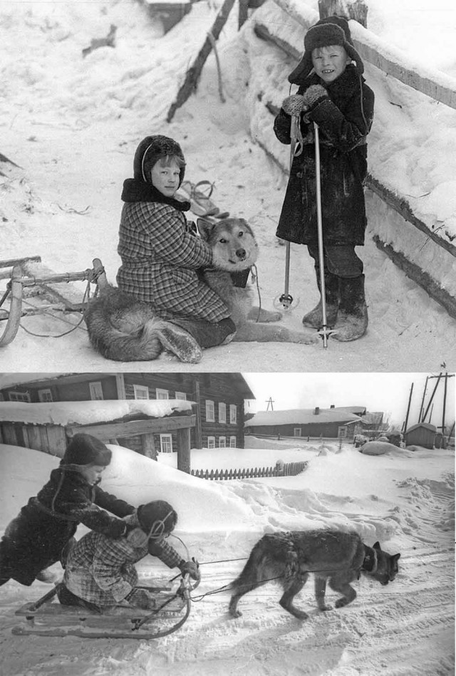 Сегодня за моим окном зима