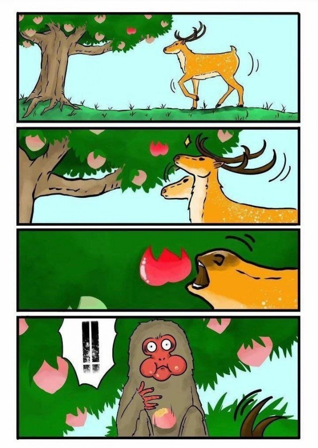 Картинки для деградации 120 (разной степени свежести)