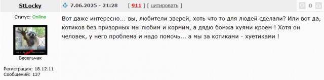 В Воронеже жители спасли кота с примёрзшими к трубе лапами