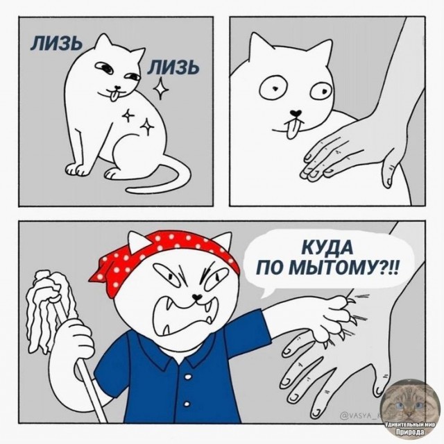 Жрат, жрат