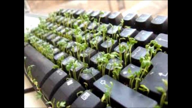 «Ни фильм посмотреть, ни сообщение написать». Москвичи четвертый день жалуются на связь — мы проверили ее на себе