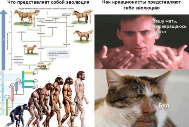 Картиночки, баянчики 23 марта