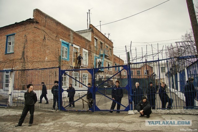 Завистливая женщина из за МКАДа показала разницу между набережными реки Химка в Москве и Подмосковье
