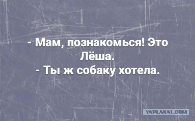 Веселое настроение в картинках 17.08.26