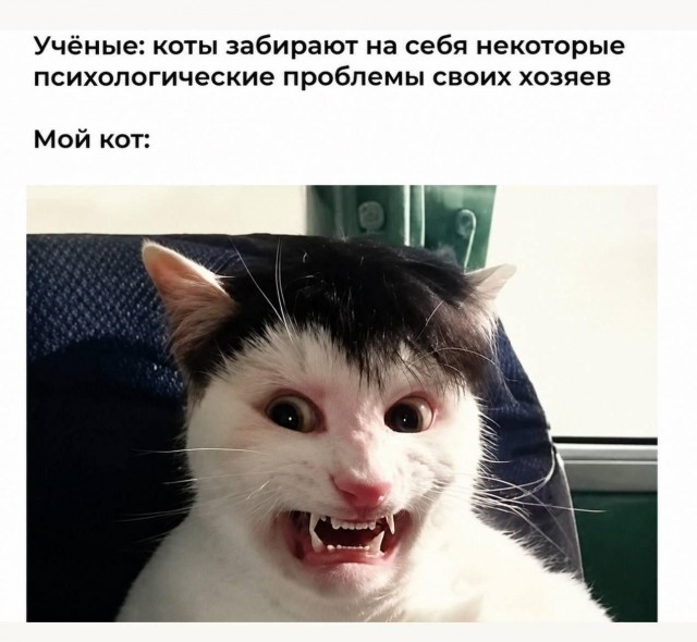 Картинки для деградации 260 (разной степени свежести)