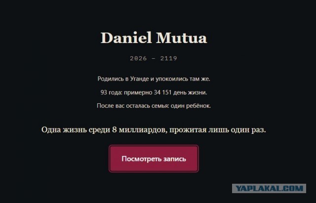 Симулятор чужой жизни