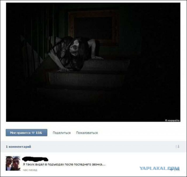 Смешные комментарии из социальных сетей