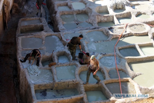 Новогодняя ночь в пустыне Сахара