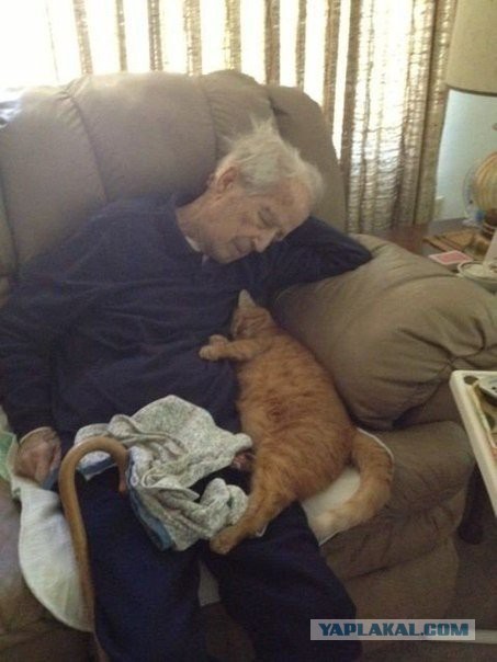 100-летний мужчина вместе со своим 17-летним котом