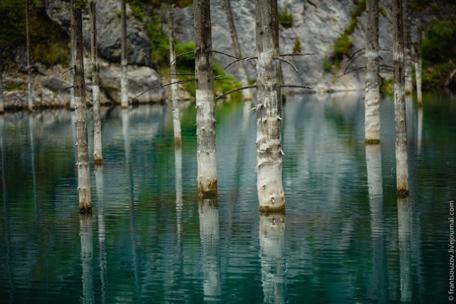 Озеро Каинды - Утонувший лес