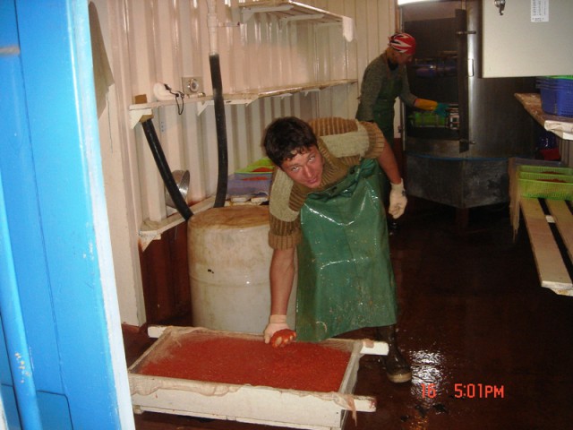 Путина 2005, Камчатка