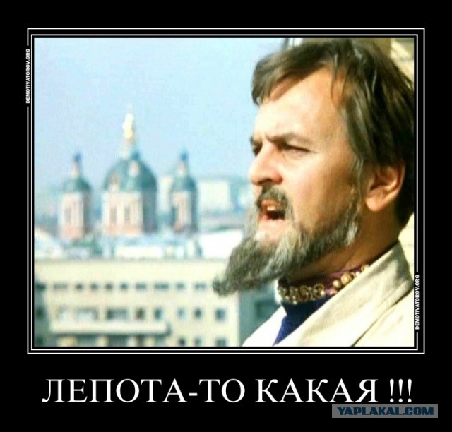 А ты играй, играй котейка!
