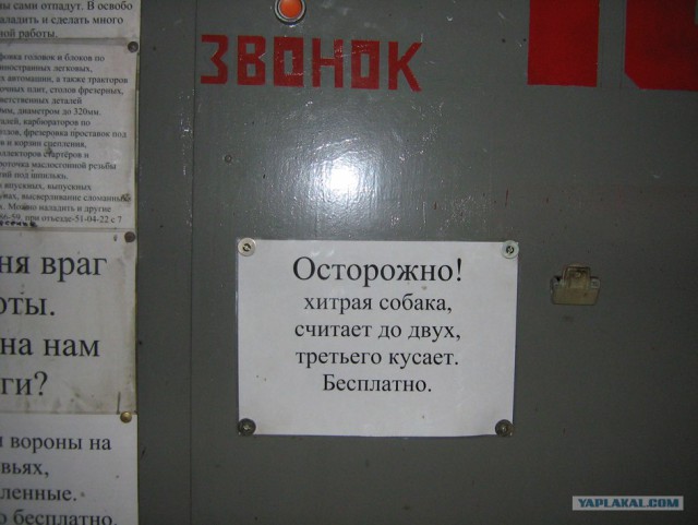 Таблички собачьи