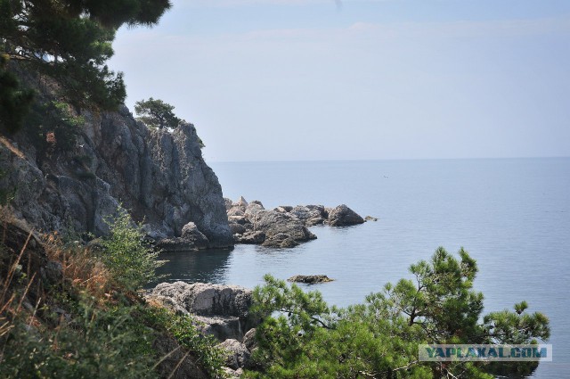 А в Крыму хорошо!