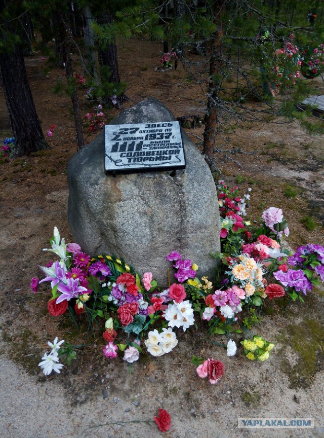 Сезон 2015 в Карелии
