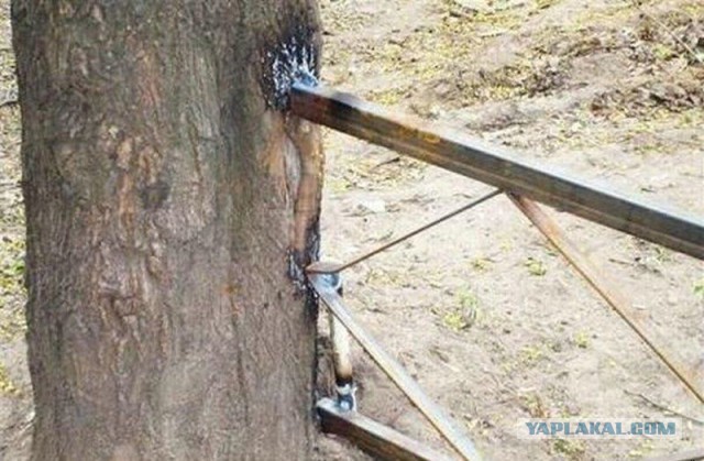 Картинки, СМСки из вашего тырнета