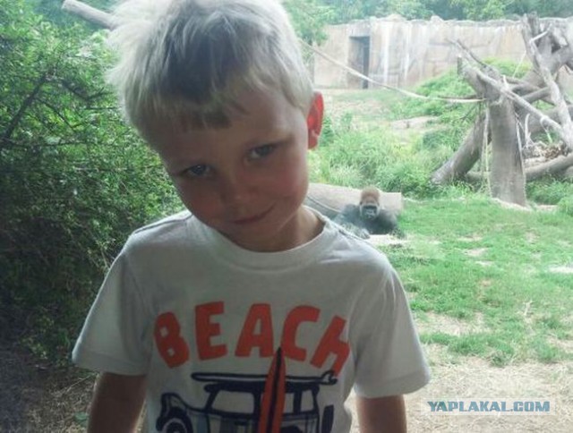 19 фотографий, где фон намного интересней переднего плана