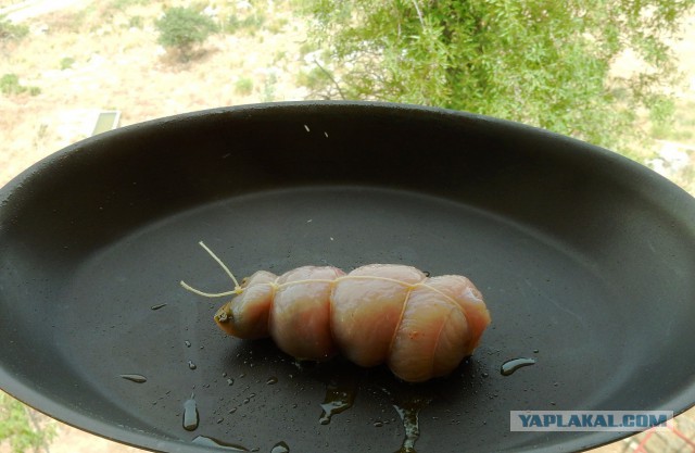 Еще одна курица (18+)