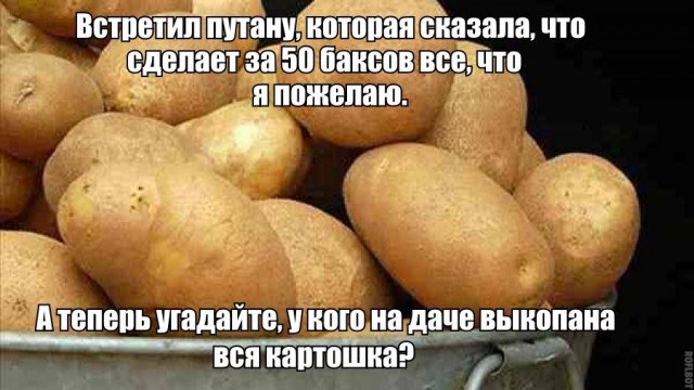 Картинки и приколы из сети