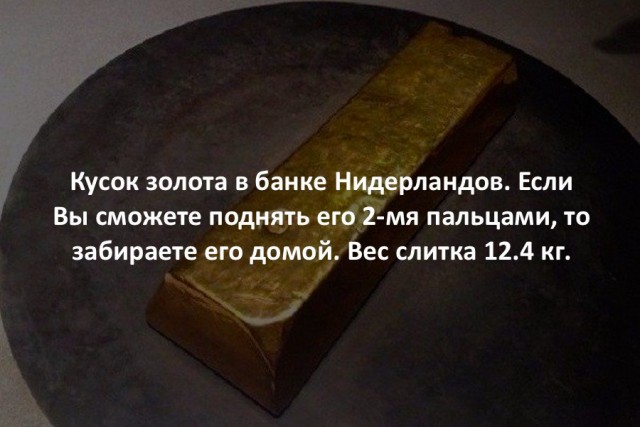 44 интересных факта в картинках. Продолжение