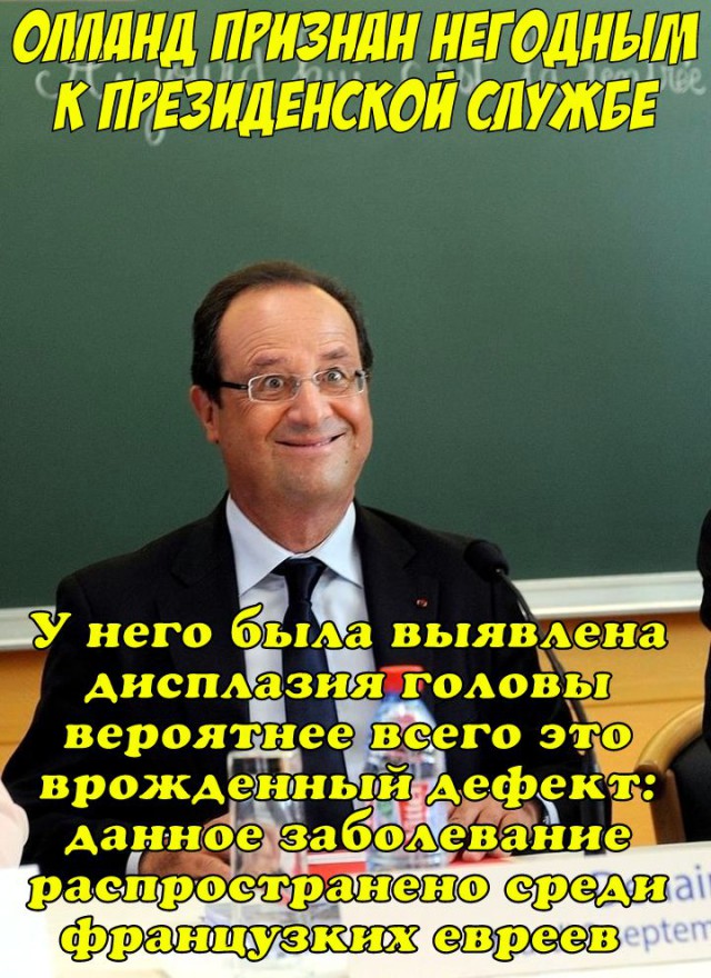 Во Франции забраковали собаку Добрыню, подаренную Россией