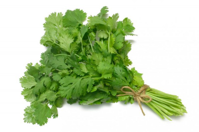 Сказочные работы Марселя ван Льюита