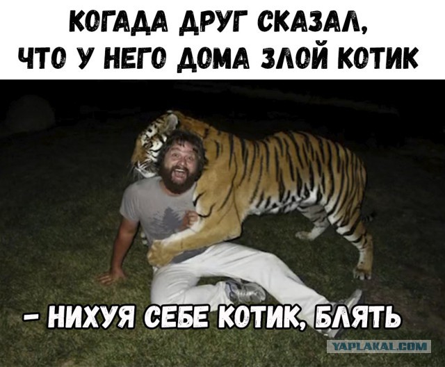 Чернушки тут малёхо завалялось...