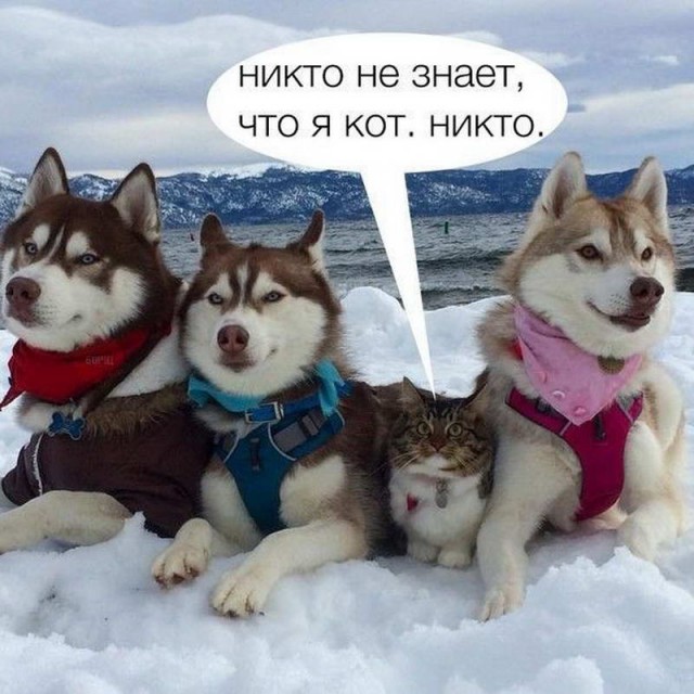18 зимних картинок