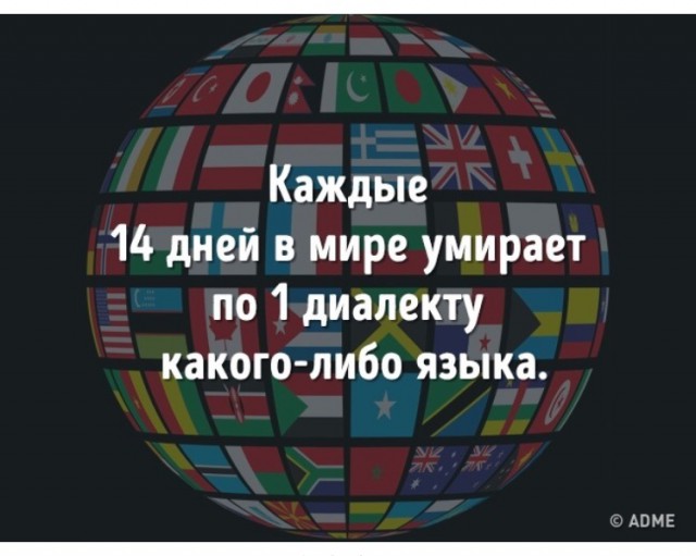 25 интересных фактов, о которых вы точно не слышали