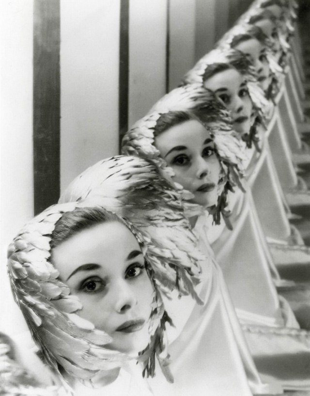 The special edition: Audrey Hepburn