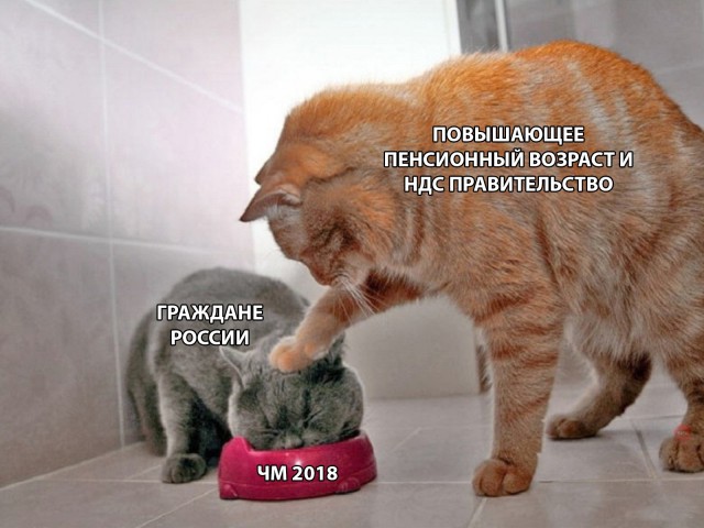 Медведев всемогущий: «Я не позволю увольнять людей старших возрастов»