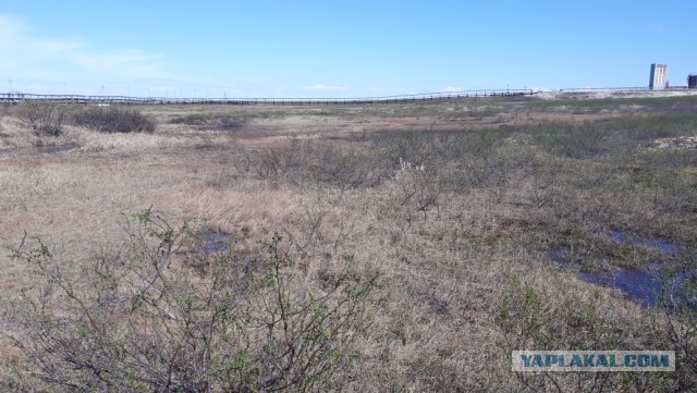 Холодильник 3