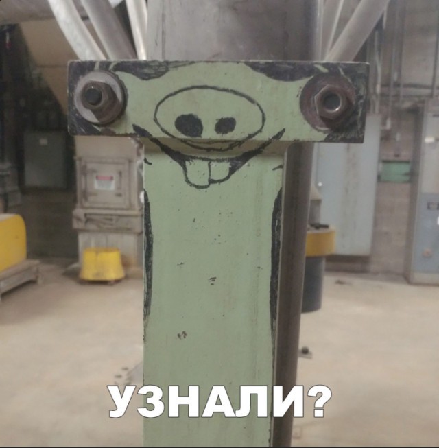 Нестандартный юмор