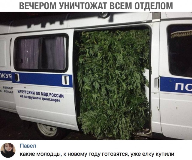 Нестандартный юмор