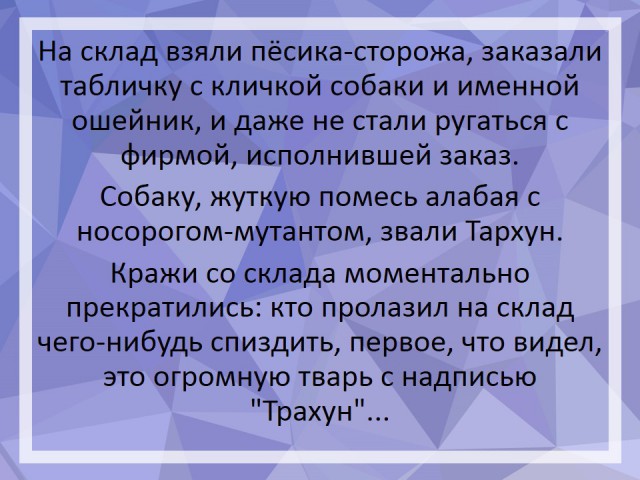 Анекдоты, соц-сети и картинки с надписями