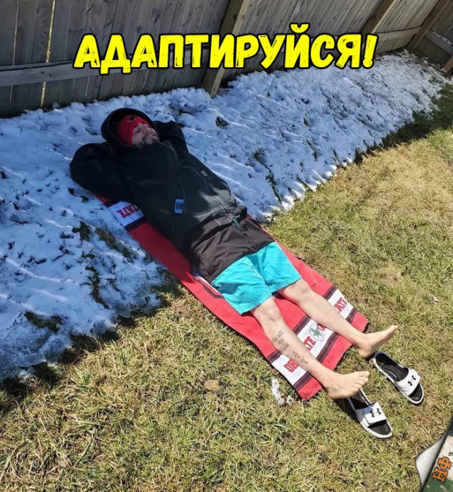 Нестандартный юмор